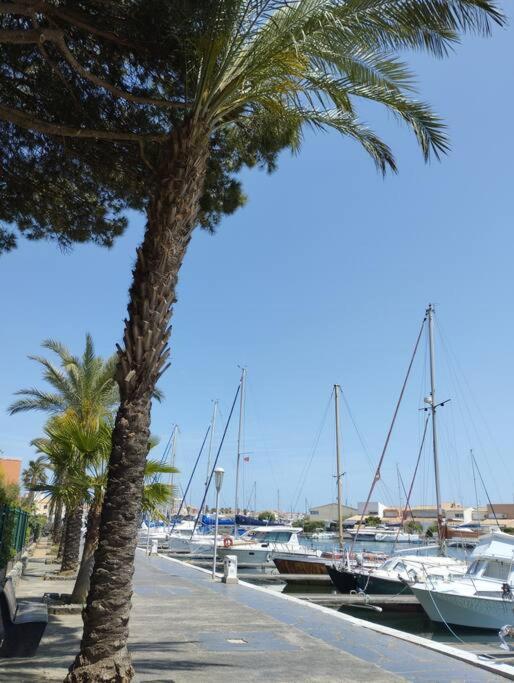 4 Couchages Avec Piscine D'ete Vue Port * Agde