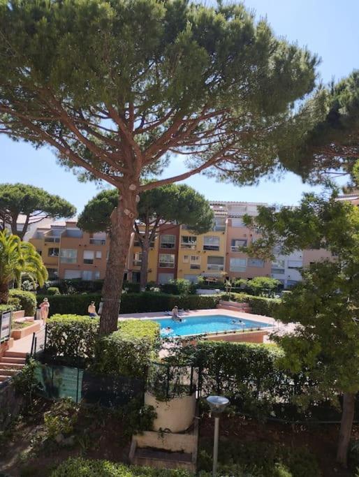 4 Couchages Avec Piscine D'ete Vue Port Apartment *